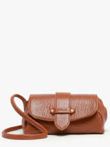 Shoulder Bag S Agnes Leather Etrier Brown agnes EAGC205S